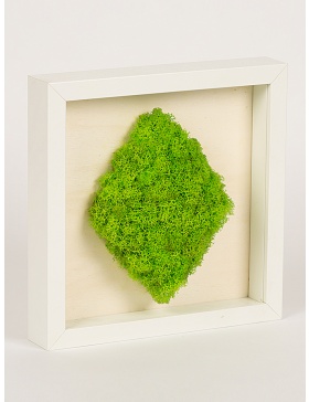 Frame with diamond shaped preserved moss