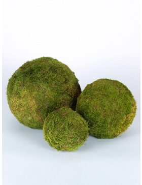 Moss Ball 20 